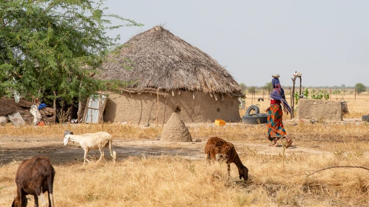 Farming community in Chad