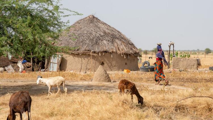 Farming community in Chad Farming community in Chad