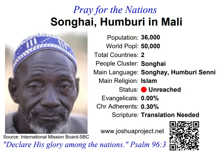 SONGHAI Humburi